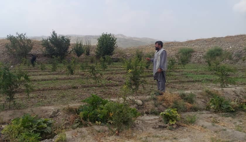 Climate Resilience